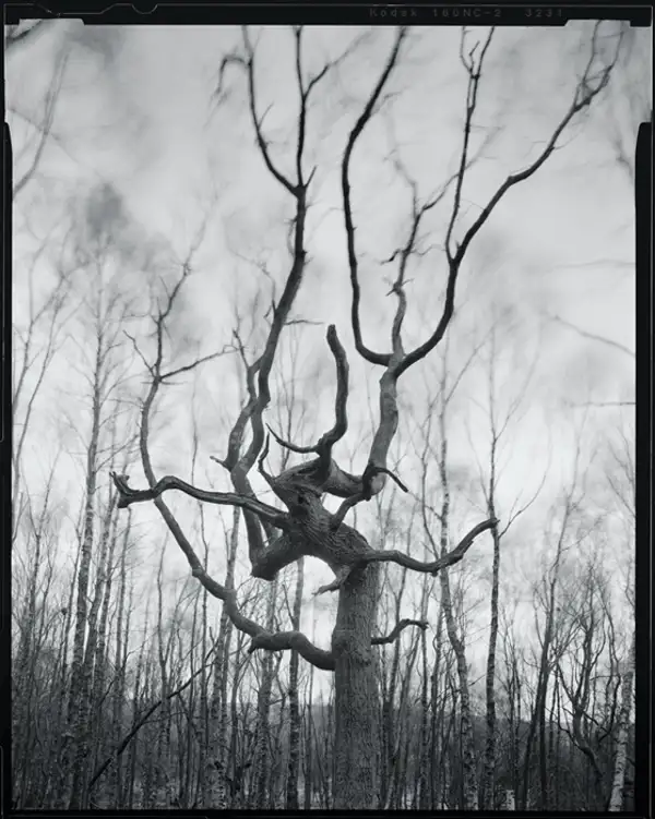 Dead Souls
