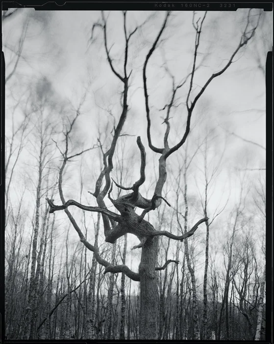 Dead Souls