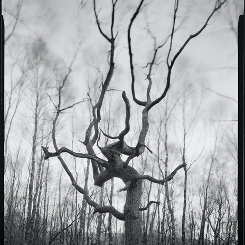Dead Souls: Dead Souls