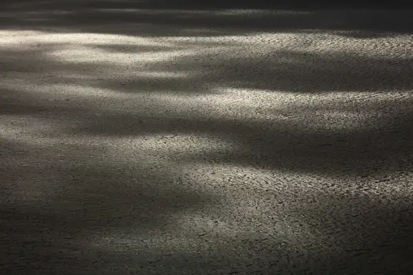 Subtle light patterns cast across a textured, cracked earth surface, creating contrasting areas of shadow and illumination. The overall tone is earthy and muted, highlighting the rugged ground.