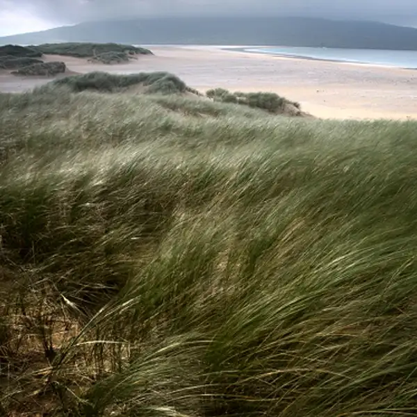 Isle of Harris dunes