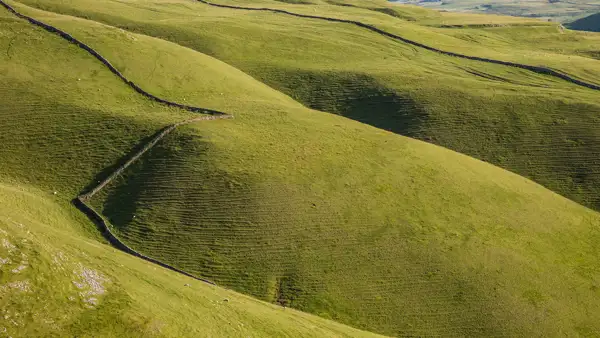 Rolling hills covered in lush green grass, divided by a series of dry stone walls creating a zigzag pattern. The sunlight casts gentle shadows, highlighting the undulating landscape and emphasising the textures of the hills.