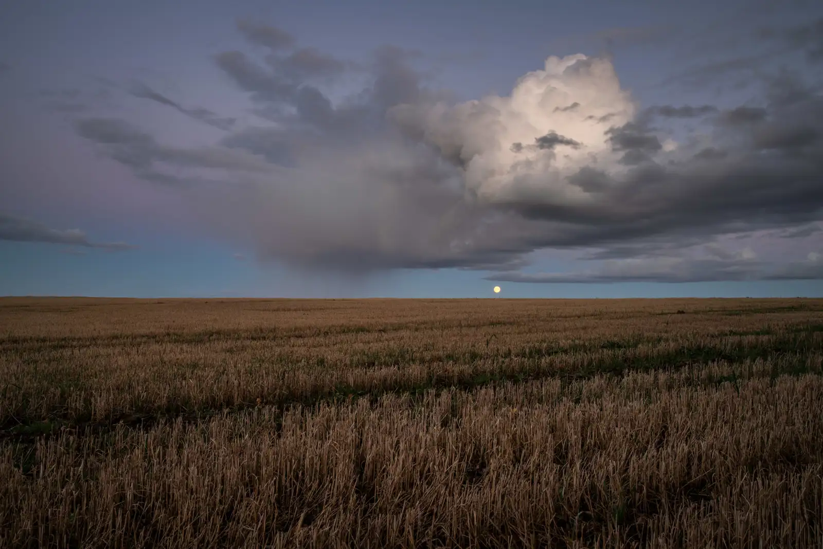 Dry stubble field under a dusky sky, with thick dark clouds and a glowing full moon near the horizon. The landscape is flat, and the light creates a serene, twilight atmosphere.