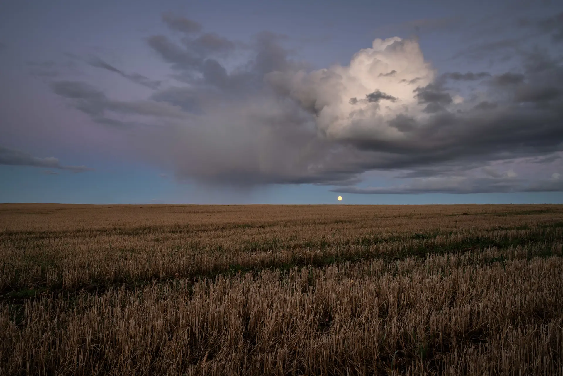 Dry stubble field under a dusky sky, with thick dark clouds and a glowing full moon near the horizon. The landscape is flat, and the light creates a serene, twilight atmosphere.
