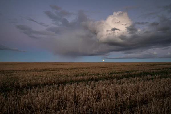 Full moon rising over a stubble field at dusk beneath a towering rain-laden cloud