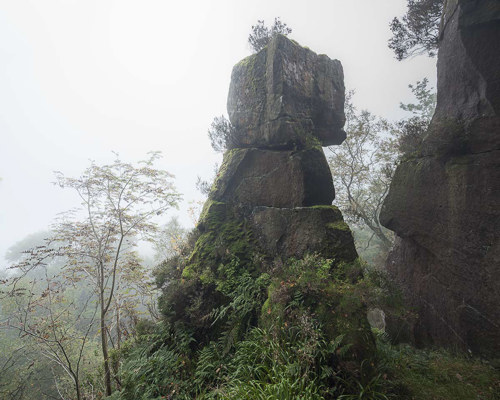 A Journey Through Ancient Woodland:  