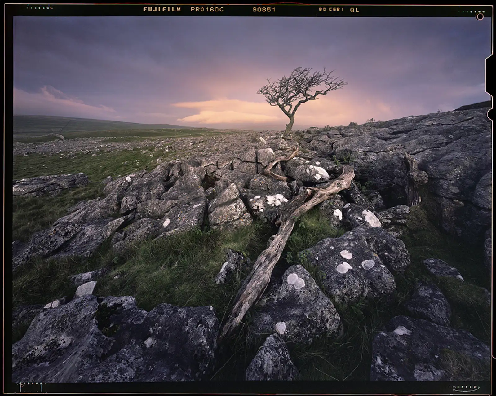 Lone tree at dawn, Malham #2