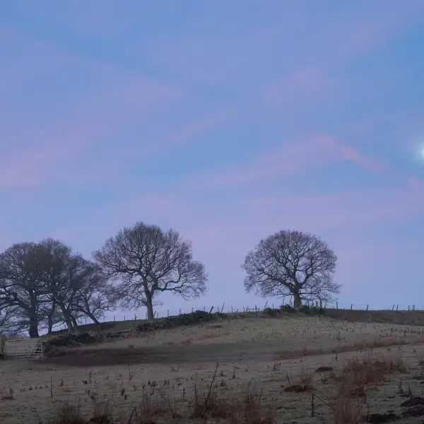 February Fewston