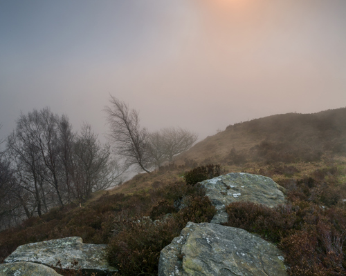 Moorland Landscapes: Large, weathered rocks in the foreground give way to moorland heather. A mystical mist envelops the scene, with a muted sun glowing softly through the hazy sky above, creating an ethereal atmosphere. a rocky hillside with trees and a bright sun in the sky