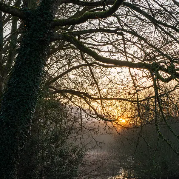 February Fewston