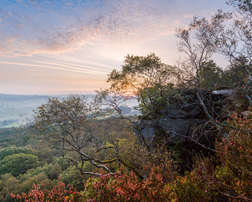 A Journey Through Ancient Woodland: Sunrise illuminates a countryside vista from a high vantage point. Various hues of pinks and blues adorn the sky. In the foreground are rocky outcrops and silhouettes of twisted trees. Below, layers of greenery blanket rolling hills, hinting at a tranquil rural landscape. a view of a mountain range and trees