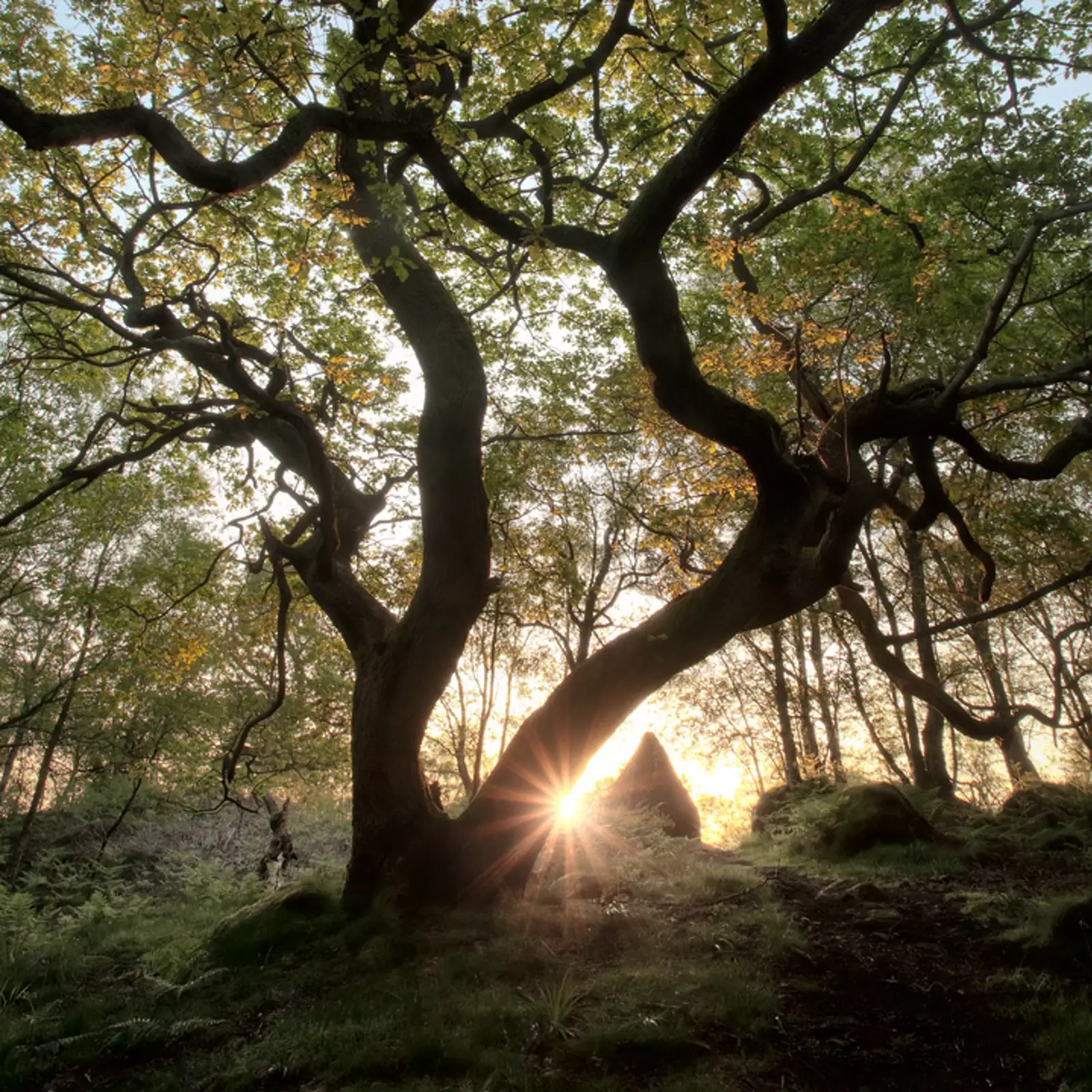 Secret places, private thoughts ...