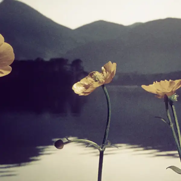 Peaceful