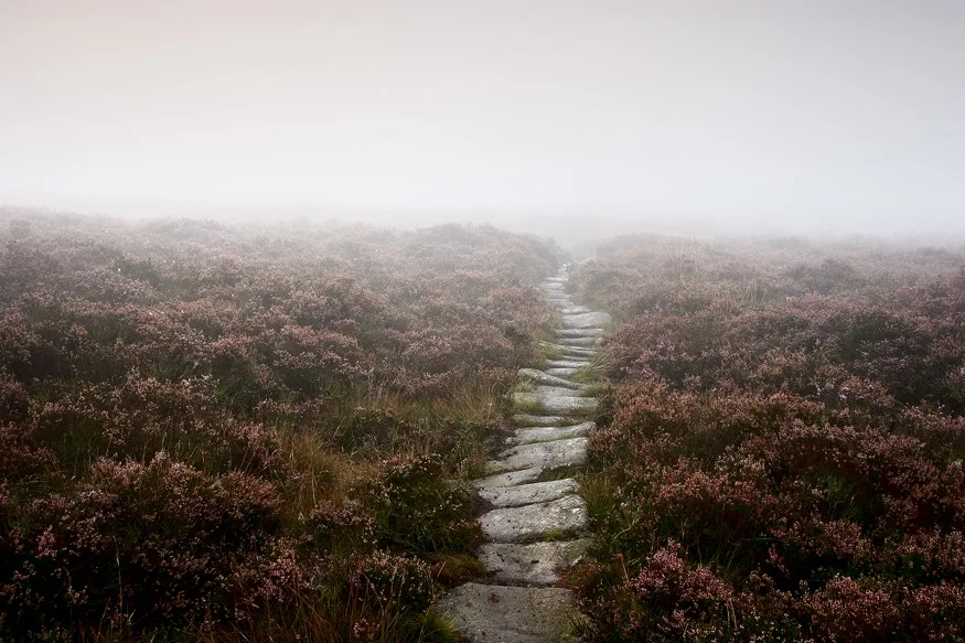 Misty Dawn