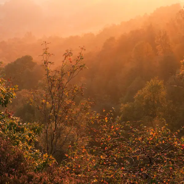 October Light