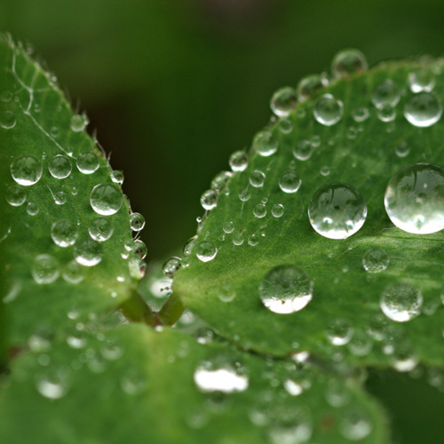 Droplets: Droplets