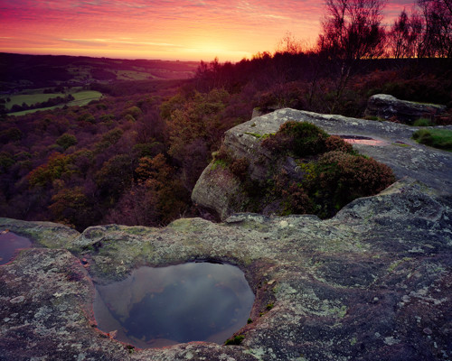 A Journey Through Ancient Woodland:  a close up of a rock