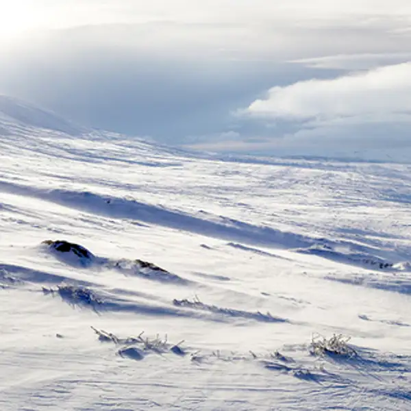 Yorkshire Dales, Winter Wonderland