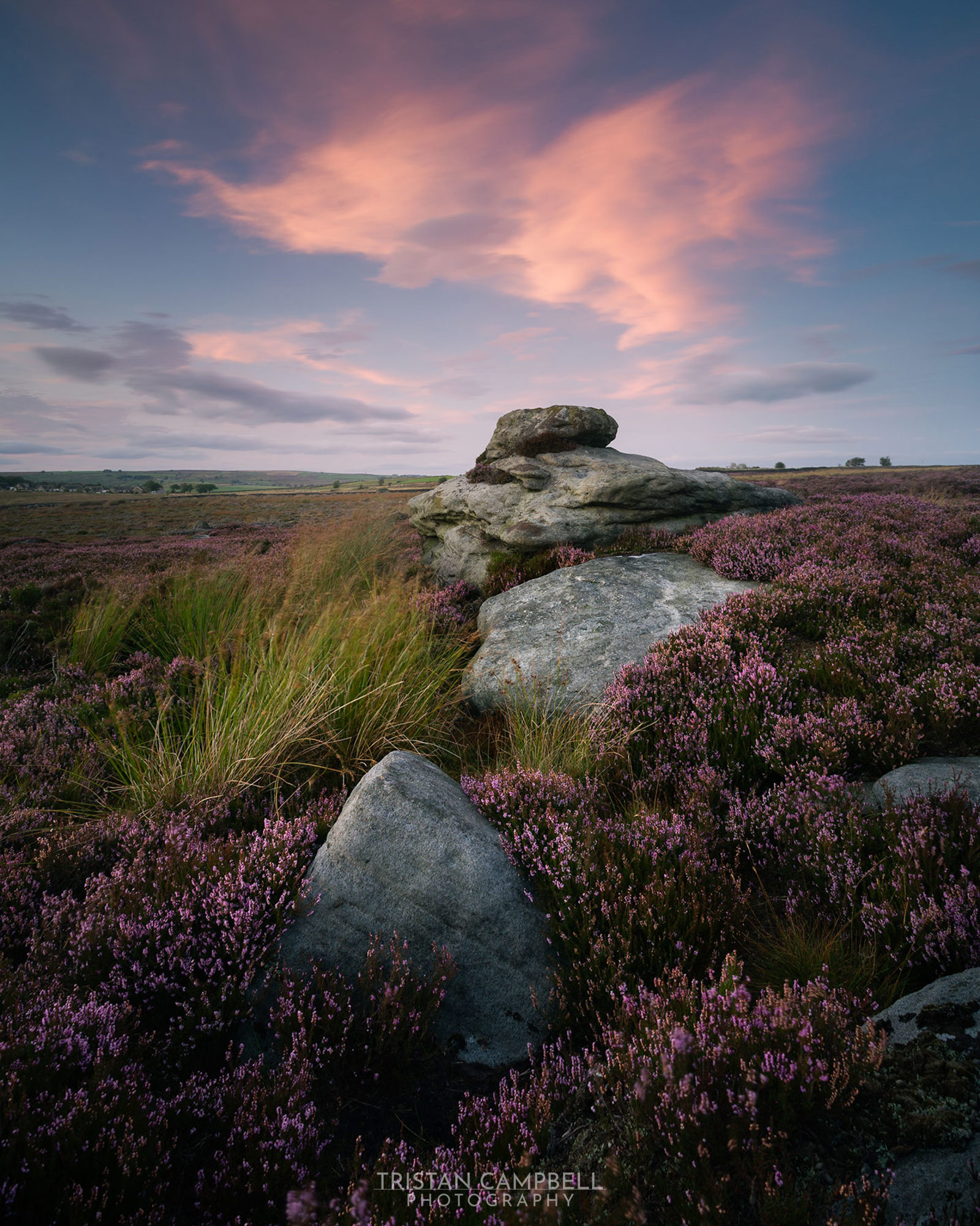 Heather-covered moorland with large grey stones under a vibrant sky during sunset. Pink and purple hues fill the clouds, contrasting with the earthy tones of the landscape. Clusters of wild grasses are interspersed among the heather, adding texture to the scene.