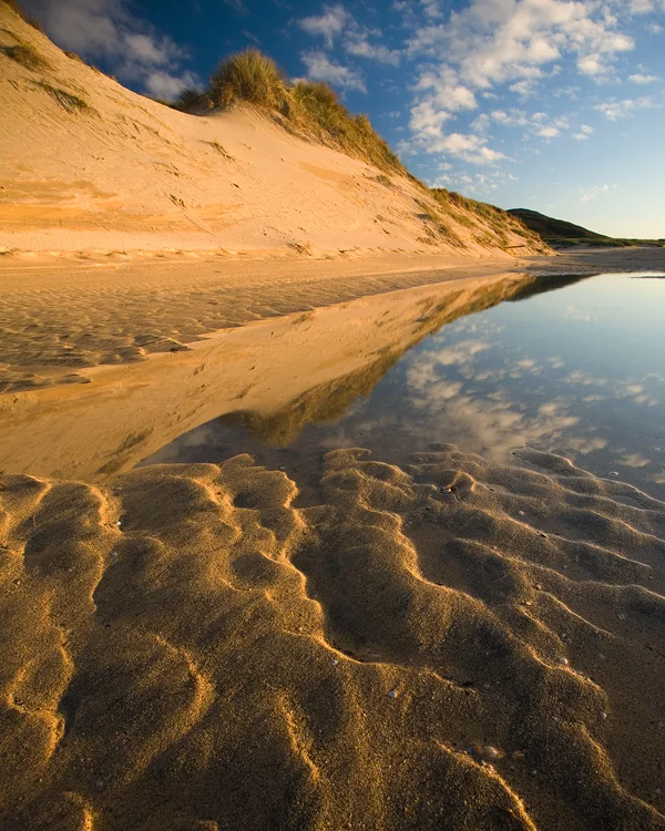 Dunescape