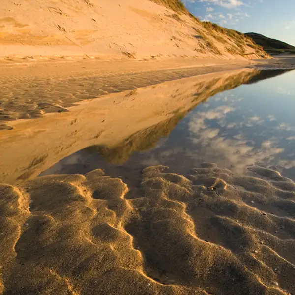 Dunescape