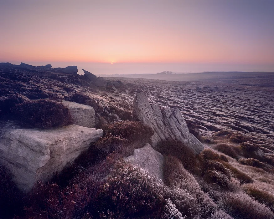 Moorland dawn