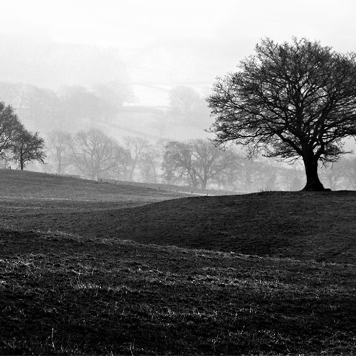 Misty morning, Gouthwaite: Misty morning, Gouthwaite