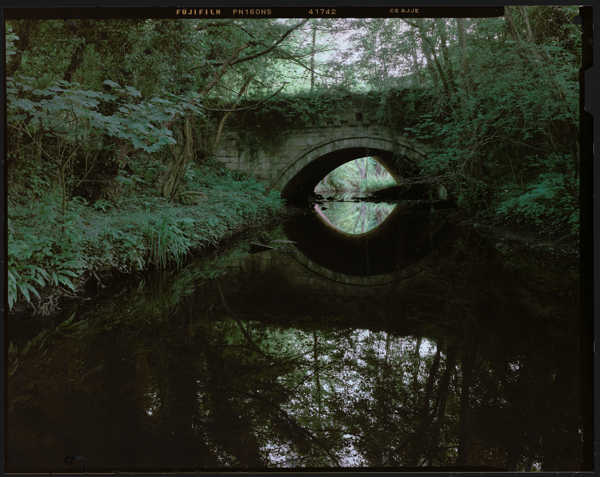 a view of a forest