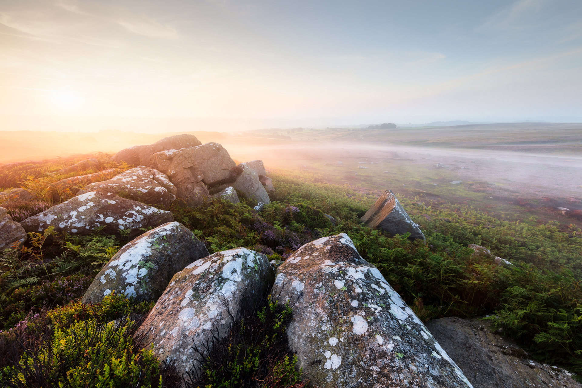 An intense sunrise bathes North Yorkshire moorland in soft light. A mist gently blankets the moorland as the warm glow of the morning sun permeates the serene landscape of moss-covered rocks and heather.