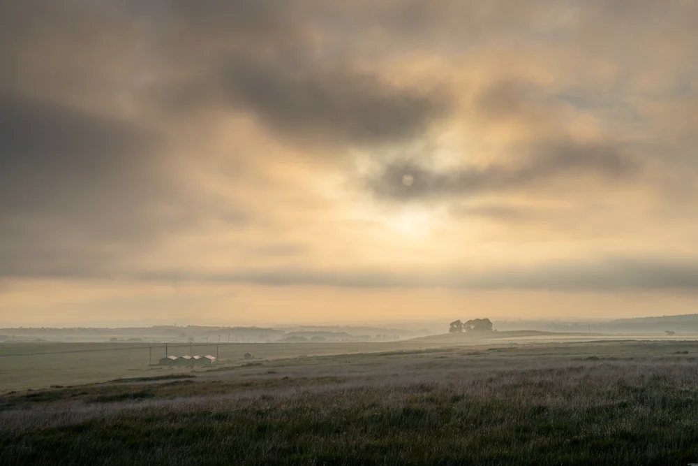 Hazy sun breaking through cloud over open moorland with a clump of trees and farm sheds on the horizon at dawn