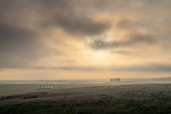 Hazy sun breaking through cloud over open moorland with a clump of trees and farm sheds on the horizon at dawn