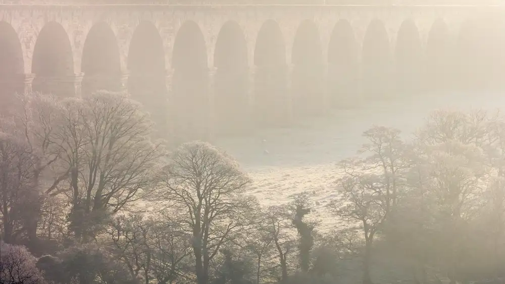 A misty scene with a stone viaduct in the background featuring multiple arches. Frosted trees with bare branches occupy the foreground, and a few sheep graze on the frosty grass below, creating a serene, wintry atmosphere. The light is soft and diffused through the mist, adding to the ethereal quality of the landscape.