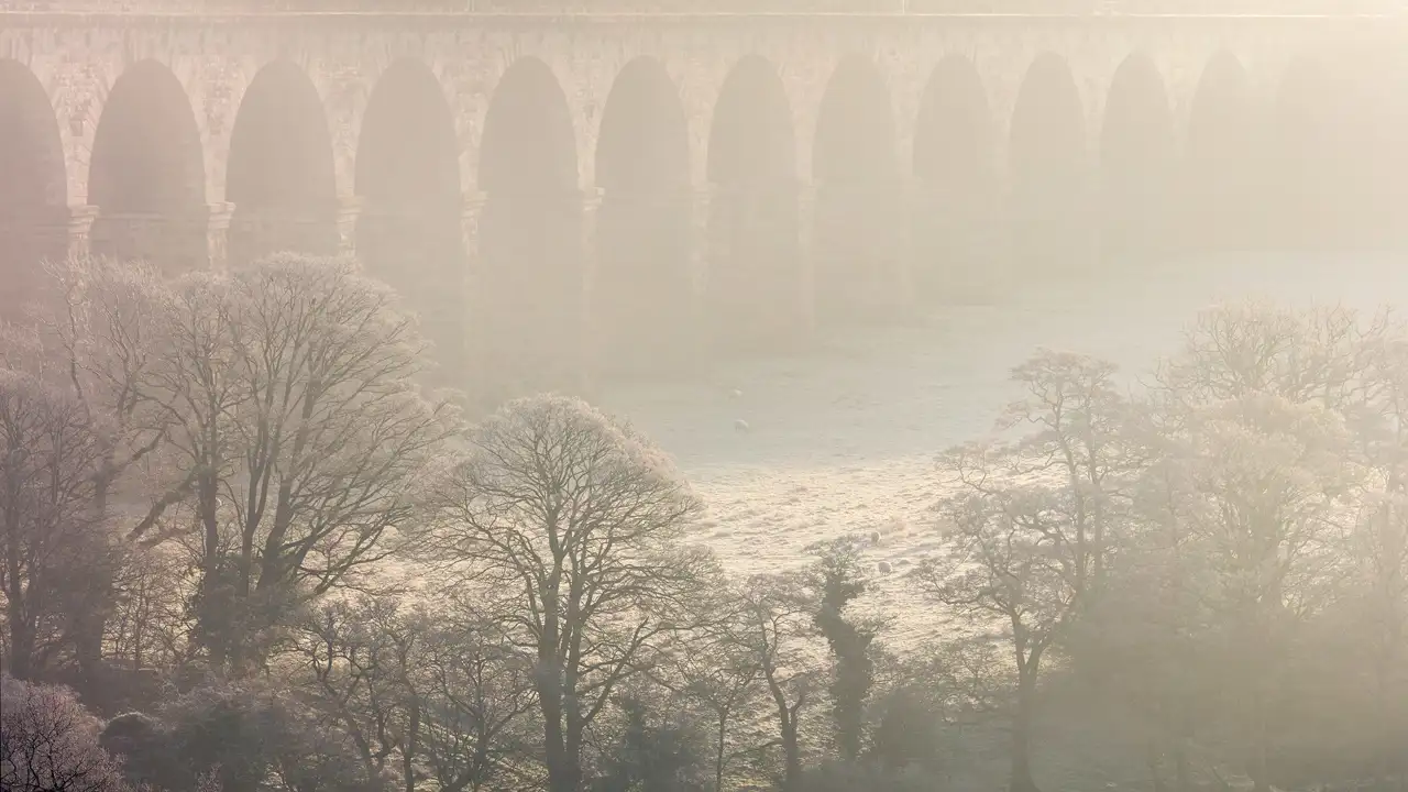 A misty scene with a stone viaduct in the background featuring multiple arches. Frosted trees with bare branches occupy the foreground, and a few sheep graze on the frosty grass below, creating a serene, wintry atmosphere. The light is soft and diffused through the mist, adding to the ethereal quality of the landscape.