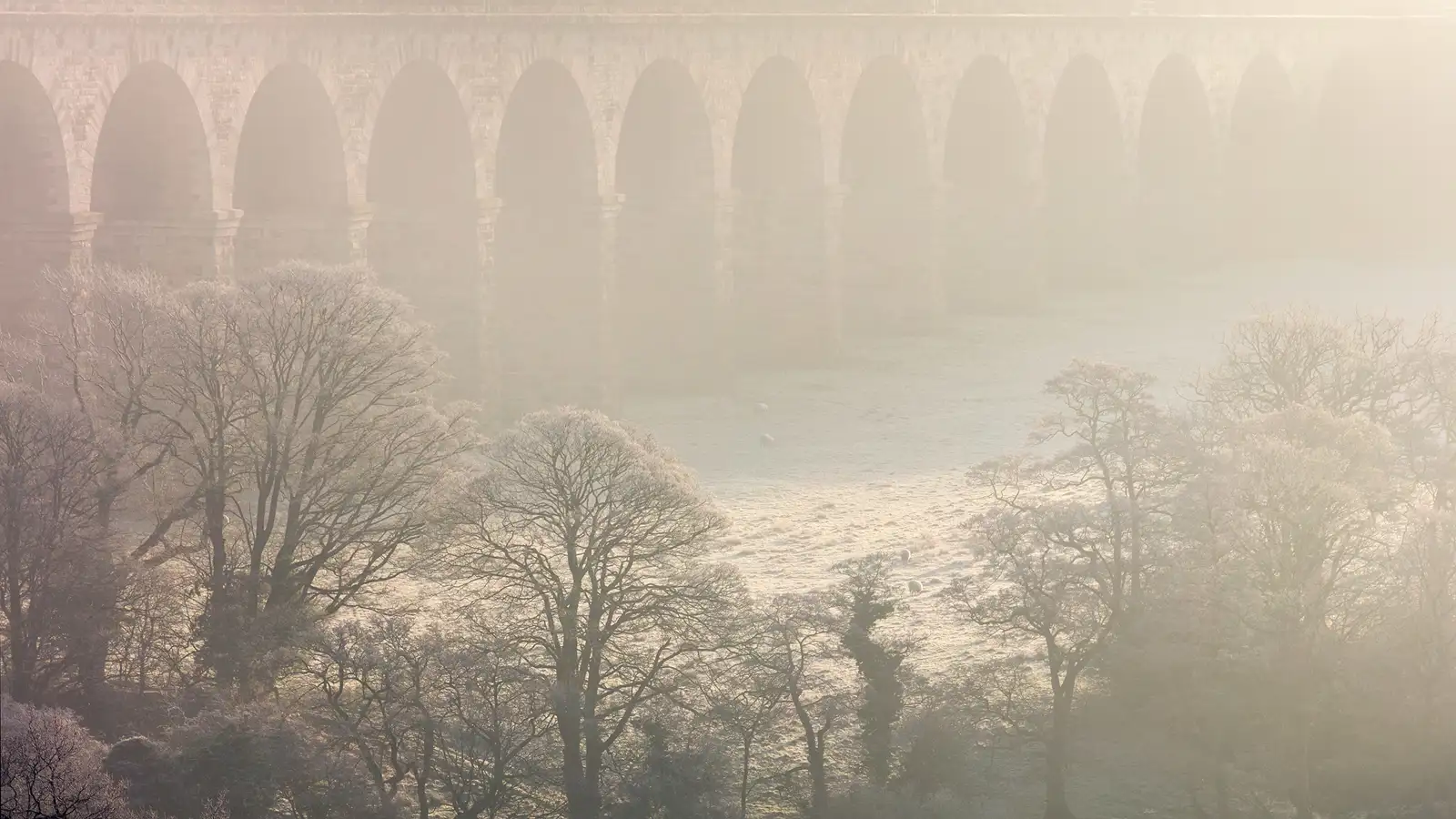 A misty scene with a stone viaduct in the background featuring multiple arches. Frosted trees with bare branches occupy the foreground, and a few sheep graze on the frosty grass below, creating a serene, wintry atmosphere. The light is soft and diffused through the mist, adding to the ethereal quality of the landscape.