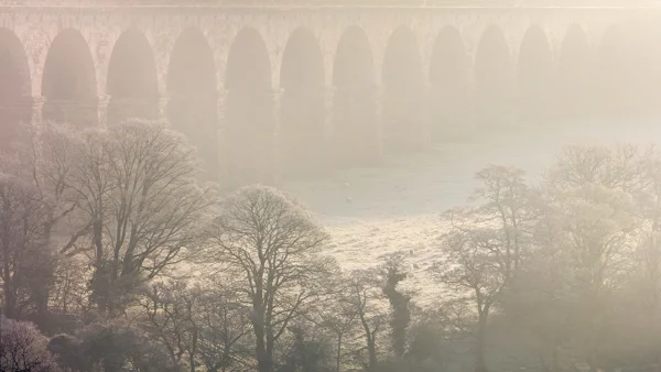 Stone railway viaduct rising above mist-shrouded valley with frosted trees at dawn on a winter morning