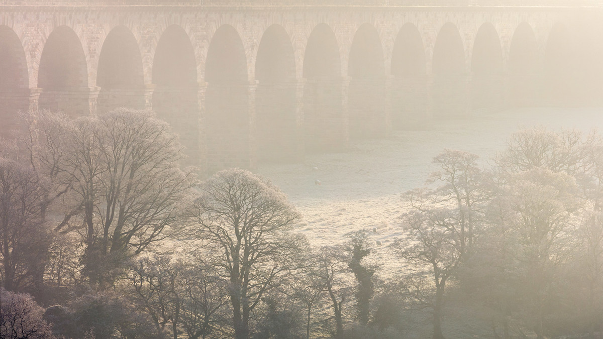  a close up of a bridge