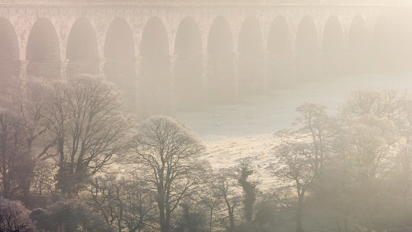  a close up of a bridge