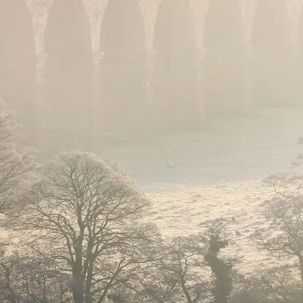 Crimple Viaduct Winter Morning