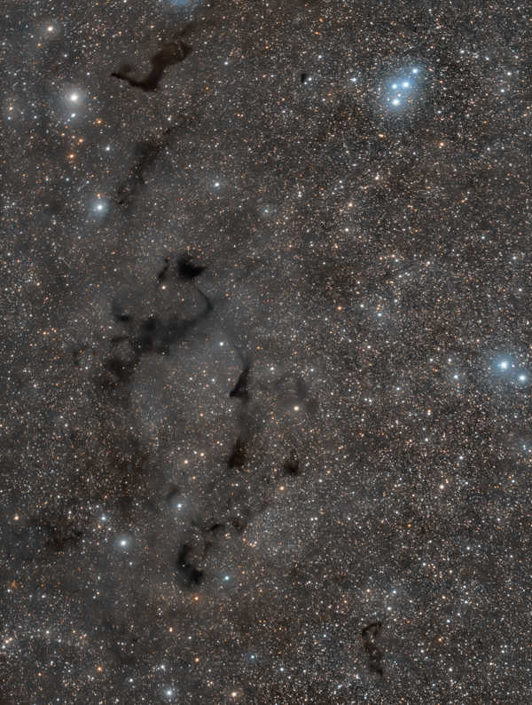 a star filled sky