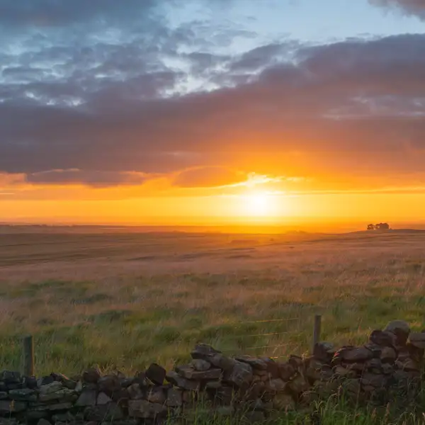 Scargill Pasture Sunrise
