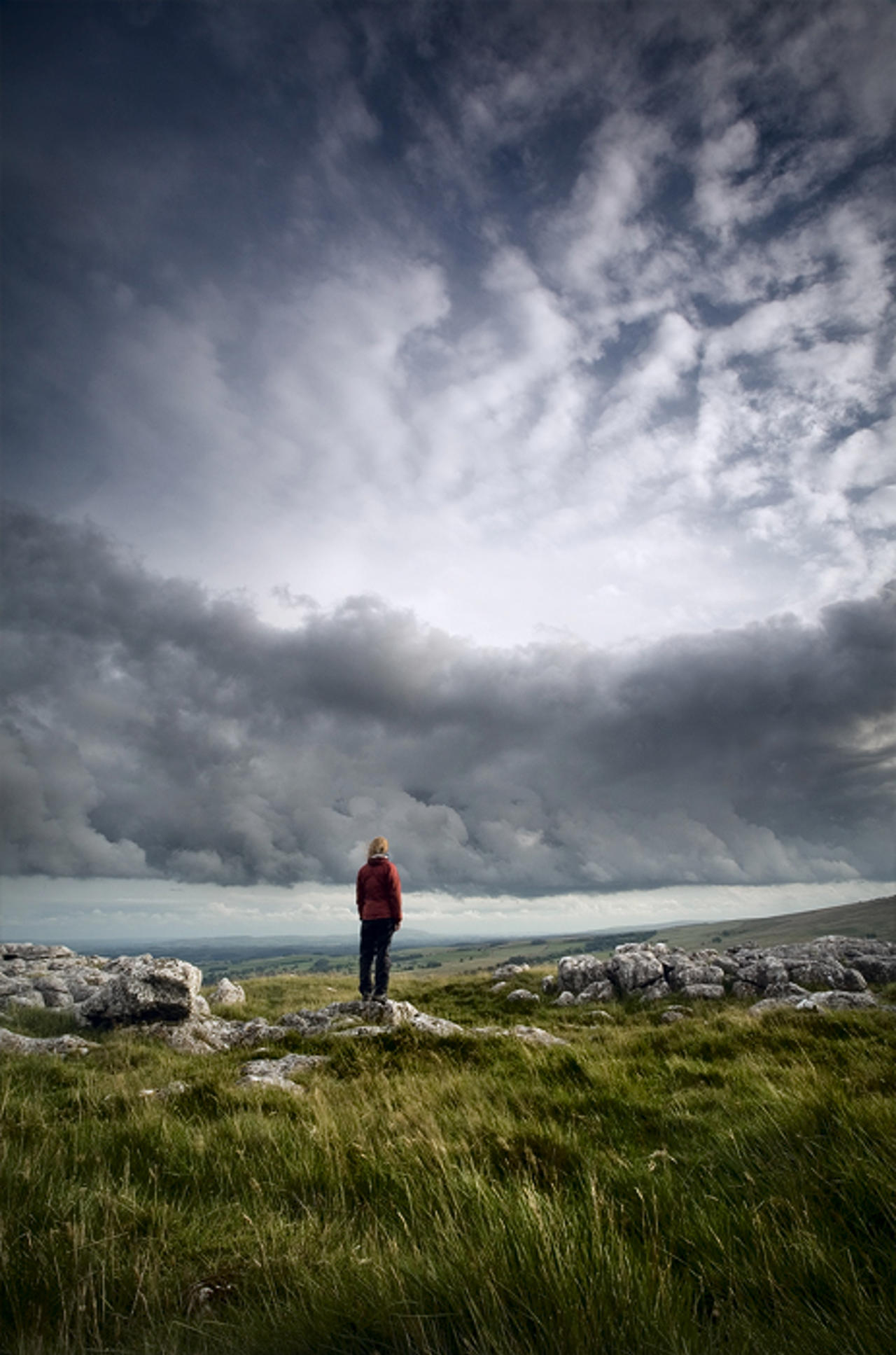 Staring out at the sky