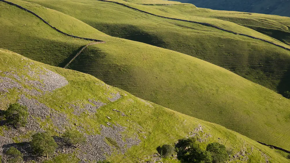 Rolling green hills with a textured surface and subtle shadows. Stone walls curve across the landscape, dividing the hills. Patches of rocky terrain and sparse trees are visible in the foreground. The sunlight enhances the contours and details of the terrain.
