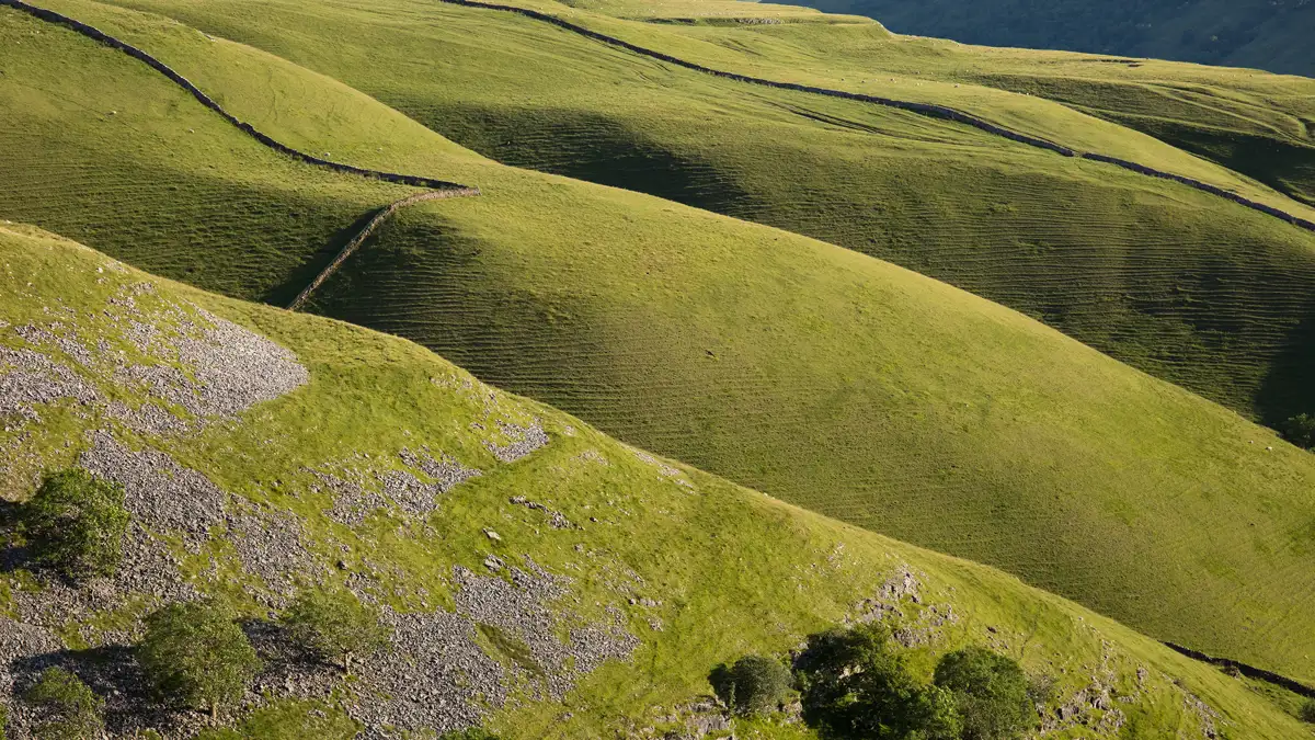 Rolling green hills with a textured surface and subtle shadows. Stone walls curve across the landscape, dividing the hills. Patches of rocky terrain and sparse trees are visible in the foreground. The sunlight enhances the contours and details of the terrain.