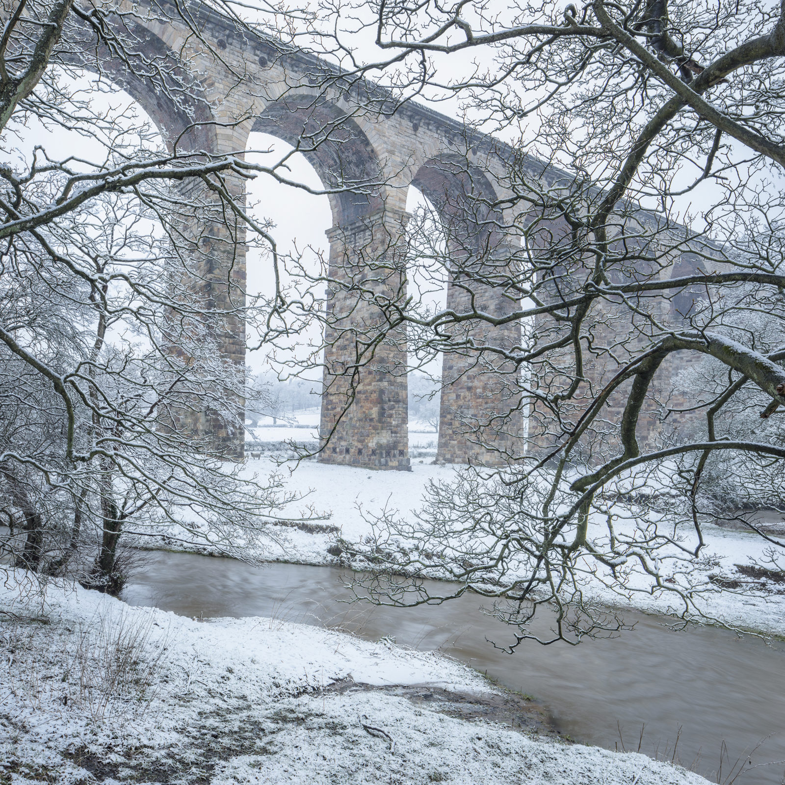 Trees frame the Crimple Viaduct on a cold winter day 