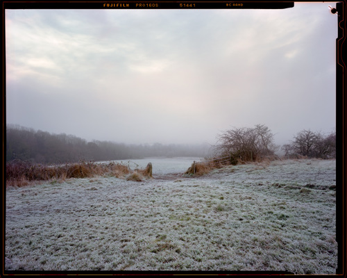 Edge Land:  a view of a field
