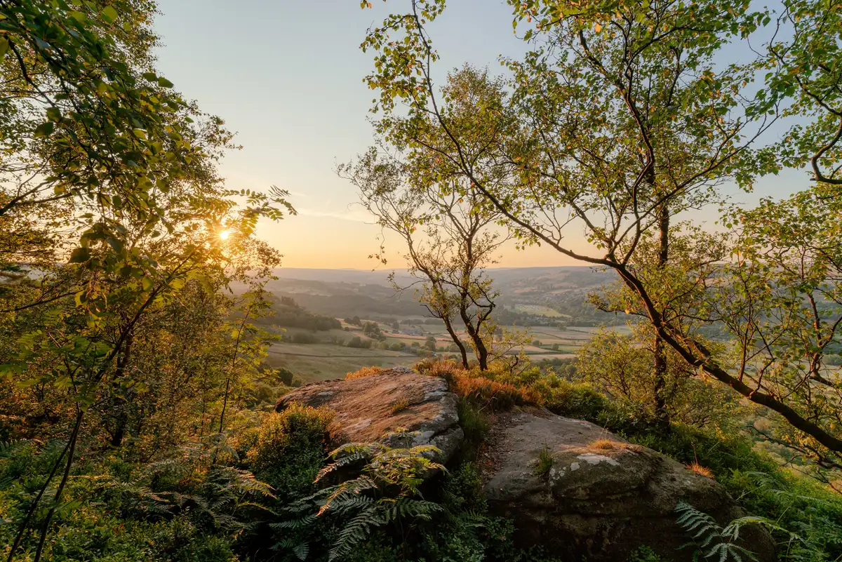 Sunset view over a lush, rolling landscape with scattered trees and fields. Foreground framed by leafy branches and a rocky outcrop. The golden sunlight filters through the trees, casting a warm glow across the scene.
