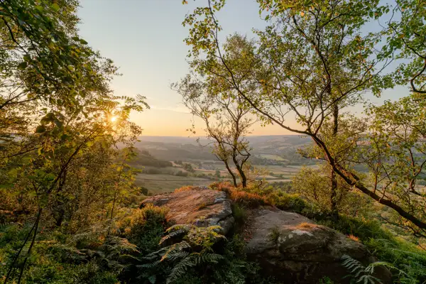 Sunset view over a lush, rolling landscape with scattered trees and fields. Foreground framed by leafy branches and a rocky outcrop. The golden sunlight filters through the trees, casting a warm glow across the scene.