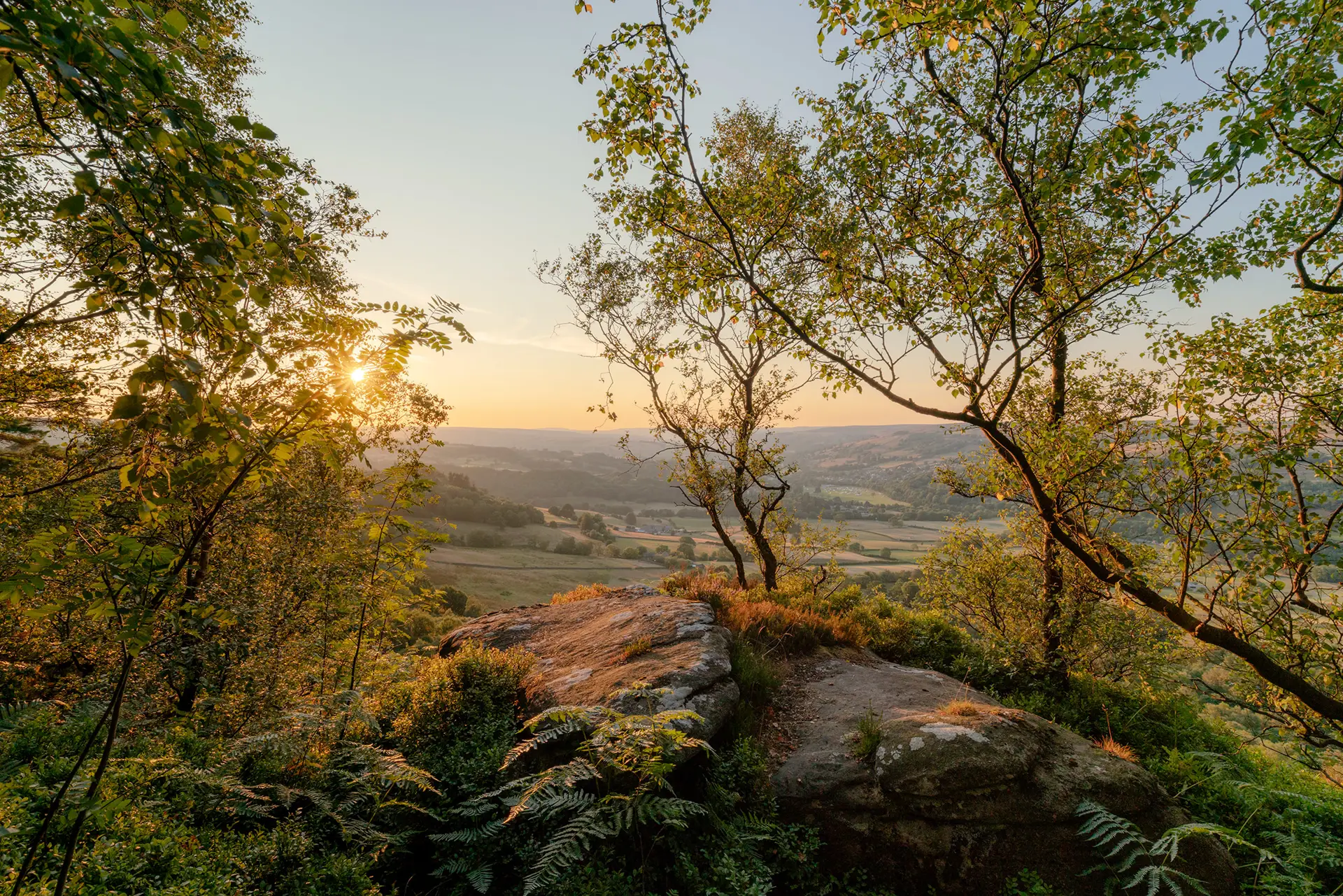 Sunset view over a lush, rolling landscape with scattered trees and fields. Foreground framed by leafy branches and a rocky outcrop. The golden sunlight filters through the trees, casting a warm glow across the scene.