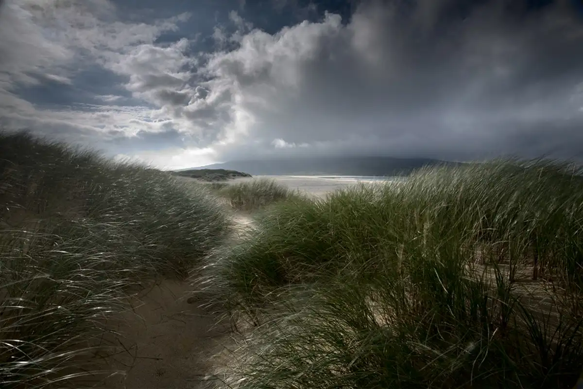 Amongst the dunes ...