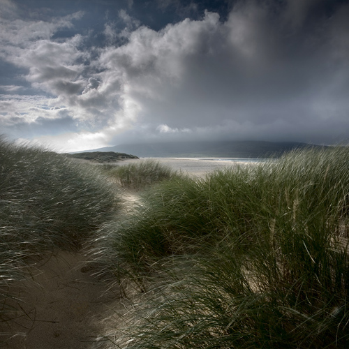 Amongst the dunes ...: Amongst the dunes ...